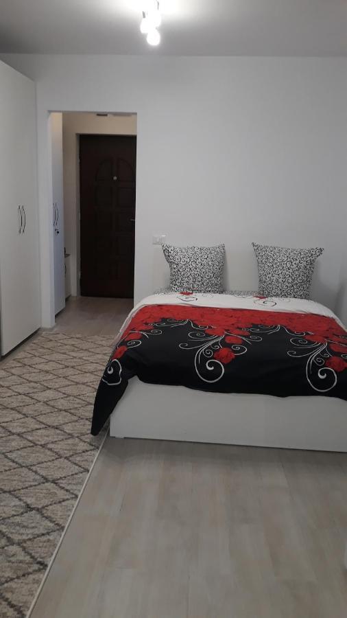 Irvin Apartament Iasi Buitenkant foto